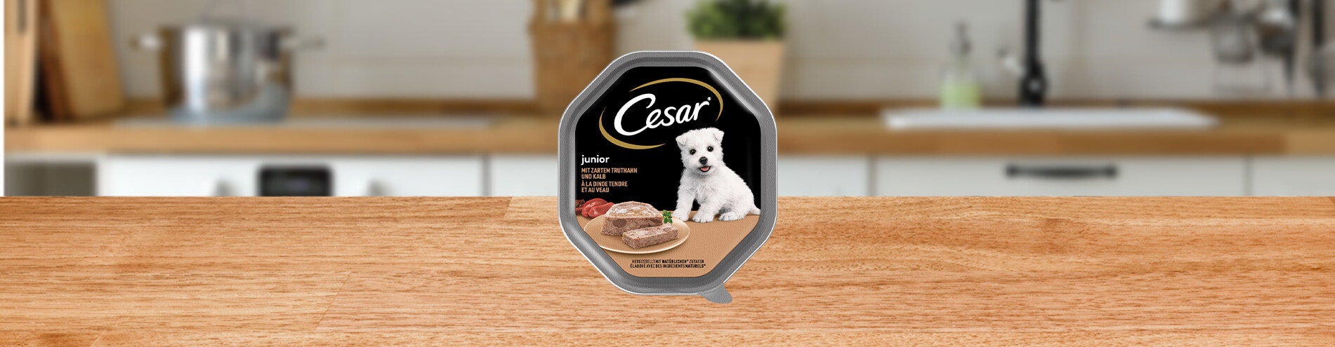 Tacka CESAR® Junior